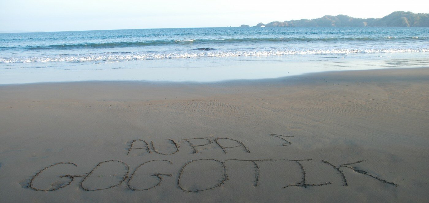 DSC_0552 - Copie