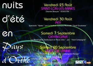 affiche nepo 2013